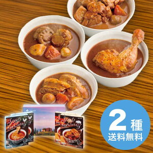 yΕz xǖX[vJ[Zbg FDSC-40 2025 Mtg X[vJ[ J[ J[V XpCX gg 5000~  Hi [i]