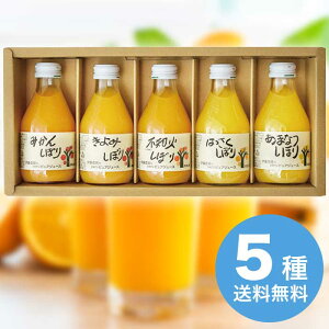 yΕz 100sAW[Xl 50705g 2025 Mtg W[X hN 2000~  Hi [i]