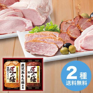 yΕz ؎gp ̑VMtgZbg TZ-MA 2025 Mtg n nMtg ؂  Mtg v[g 4000~ ①  Hi [i]