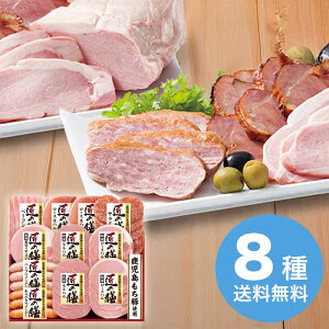 yΕz ؎gp ̑VXCXMtgZbg TZ-SD 2025 Mtg n nMtg ؂  Mtg v[g 5000~ ①  Hi [i]