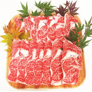 MBu[XĂEԂԗp yȔΕz y11/15`12/26͂z[Ⓚ][i]