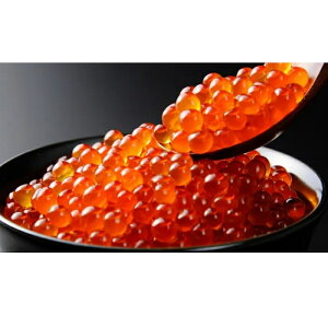  kCYݖЂ 500g Ⓚ Mtg  炵傤ÂO  Ε[Ⓚ][i]