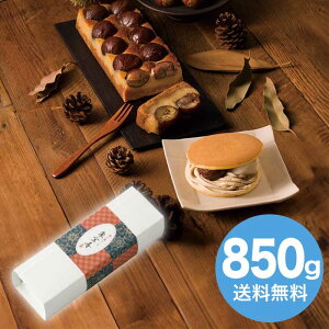 yΕz I(C) 2025 Mtg P[L 킢   aَq lߍ킹 4000~  Hi [i]