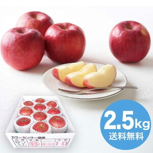 y}\Ԓ|Cg2{zyΕz XY x14xۏ؃Tӂ2.5kg 2025 Mtg  ь ringo  t[c { fU[g ʕ 5000~  Hi [i]