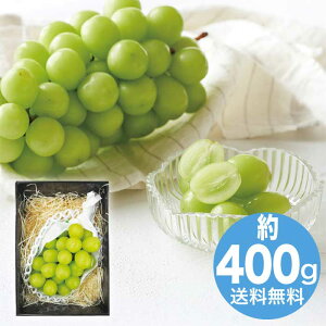 yΕz 쌧Y VC}XJbg 2025 Mtg t[c { fU[g ʕ { VC}XJbg 5000~  Hi [i]