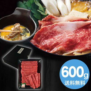 yΕz ݖaԗpԐg(600g) 2025 Mtg Ă Ă   Mtg v[g 8000~ Ⓚ  Hi [i]