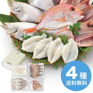 yΕz ^ӂꎬƊZbg 2025 Mtg  Ђ   aH  6000~ Ⓚ  Hi [i]