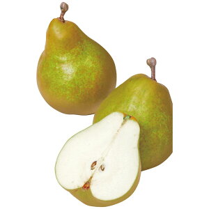 yΕz ݉̎R`YEtX2.5kg 2025 Mtg EtX  ӂ t[c { fU[g ʕ 4000~  Hi [i]