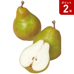 y}\Ԓ|Cg2{zyΕz ݉̎R`YEtX3.2kg 2025 Mtg EtX  ӂ t[c { fU[g ʕ 6000~  Hi [i]