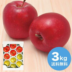 yΕz ݉̎R`YTӂ񂲂ƃEtX3kg 2025 Mtg t[c { fU[g ʕ 6000~  Hi [i]