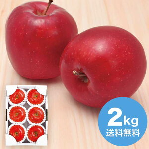 yΕz ݉̎R`YTӂGi2kg 2025 Mtg  ь ringo  t[c { fU[g ʕ 4000~  Hi [i]