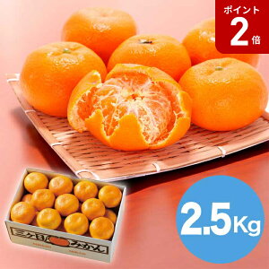 y}\Ԓ|Cg2{zyΕz ÉY O݂2.5kg 2025 Mtg ݂  Â t[c { fU[g ʕ 4000~  Hi [i]