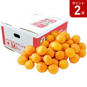 y}\Ԓ|Cg2{zyΕz F{Y V݂3kg 2025 Mtg ݂  Â t[c { fU[g ʕ 4000~  Hi [i]