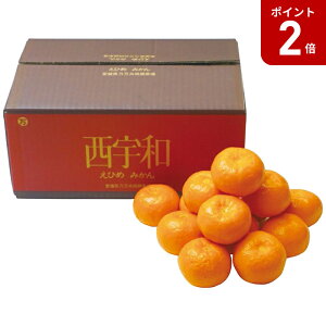 y}\Ԓ|Cg2{zyΕz QY ݂3kg 2025 Mtg ݂  Â t[c { fU[g ʕ 5000~  Hi [i]