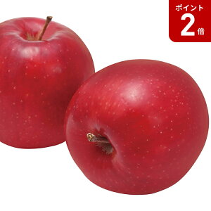 y}\Ԓ|Cg2{zyΕz 쌧Y MBTӂ 3.4kg 2025 Mtg  ь ringo  t[c { fU[g ʕ 5000~  Hi [i]