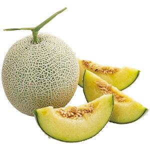 yΕz }XN1(ؔ) 2025 Mtg  t[c { fU[g ʕ 6000~  Hi [i]