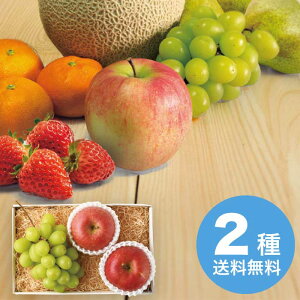 yΕz VC}XJbgƃTӂl 2025 Mtg t[c { fU[g ʕ 7000~  Hi [i]