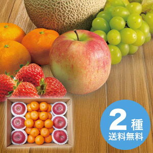 yΕz a̎RY ݂񁕐XY Tӂ񂲃Zbg 2025 Mtg t[c { fU[g ʕ 5000~  Hi [i]