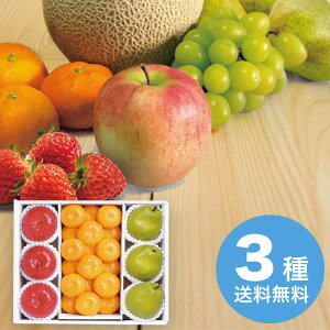 yΕz 쌧Y TӂR`Y tXa̎RY ݂ 2025 Mtg t[c { fU[g ʕ 6000~  Hi [i]