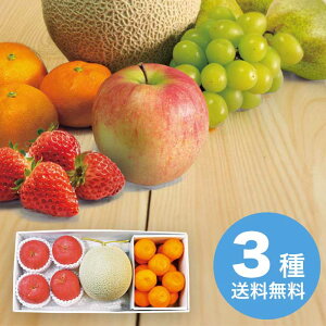 yΕz BY }XN쌧Y TtW4ʁa̎RY Lc݂Zbg 2025 Mtg t[c { fU[g ʕ 10000~  Hi [i]