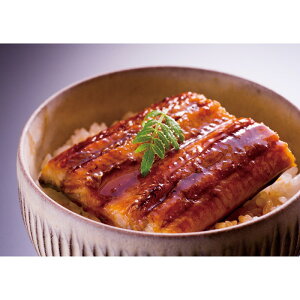 yΕz Vy BYȂ ؐg5 2025 Mtg Ȃ      aH  6000~ Ⓚ  Hi [i]