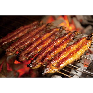 y}\Ԓ|Cg2{zyΕz BYȂĐؐg3߂̋(ڂ)Zbg 2025 Mtg Ȃ      aH  5000~ Ⓚ  Hi 