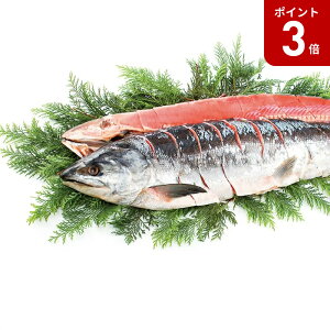 yubNtCf[ԃ|Cg3{zyΕz Vpؐg 2025 Mtg     7000~ Ⓚ  Hi [i]