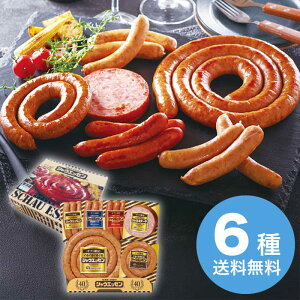 yΕz MtgVEGbZ SEG-500 2025 Mtg ECi[ ECi[\[Z[W Mtg v[g 5000~ ①  Hi [i]