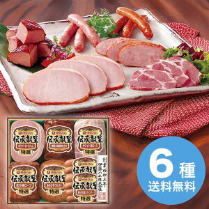 yΕz `MtgZbg GM-560 2025 Mtg n nMtg ؂  Mtg v[g 5000~ ①  Hi [i]