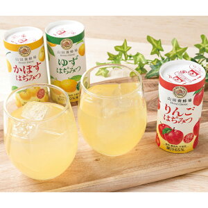 yΕz nj[hN3l HD-YAK50B 2025 Mtg ݂͂ I hN 6000~  Hi [i]