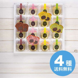 yΕz ~jgtP[L MTF-C 2025 Mtg gt `R[g mَq lߍ킹 aَq 4000~  Hi [i]