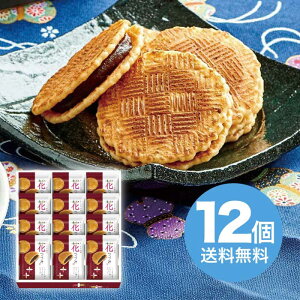 yΕz ԂÂ FT-15 2025 Mtg  ׂ lߍ킹 aَq 킢  2000~  Hi [i]