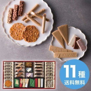 yΕz GRZt@~[Mtg AF50 2025 Mtg Ăَq lߍ킹   mَq aَq 6000~  Hi [i]