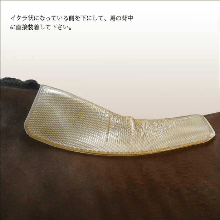 楽天市場】【サドルパッド】 アクションパッド AIR WAVE サドルパッド  