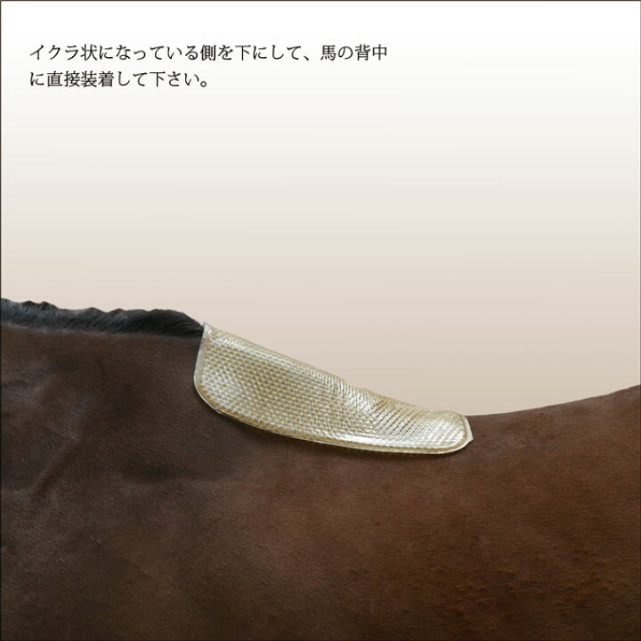 楽天市場】【サドルパッド】 アクションパッド AIR WAVE キ甲部保護  