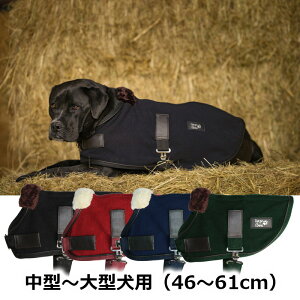 DIEGO & LOUNA@t@[t[XhbOO-L`XL