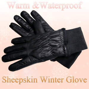 V[vXLEB^[O[u@npi@܁@{v@r@~p@g@fB[X@Y