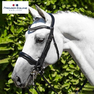 PE@ӗp@AuA[mEAig~bNb@npi@n@Ӂ@@CXg[@_炩v@C^AU[@Aig~bN\