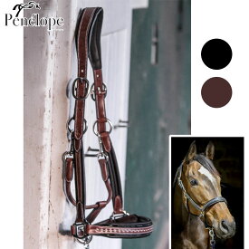 ペネロペ　レザー無口　ポイントセリエ　｜　乗馬用品　馬具　革無口　ホルター　もくし　ムクチ　高級感