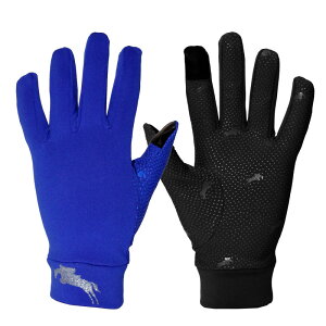 X[p[\tgO[u-WjAp inp܁j