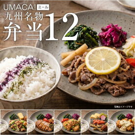 【お盆セール10倍】冷凍弁当 12食 セット 冷凍 弁当 ごはん付き ご飯付き お弁当セット レンジ 温めるだけ レンチン 冷凍食品 冷凍惣菜 美味しい 健康 宅配弁当 ご当地グルメ 九州 鯖明太 レモンステーキ チキン南蛮 冷凍お弁当通販 冷凍食品ワンプレート 肉 魚