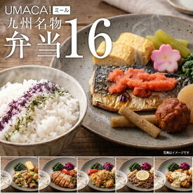 【ポイント20倍】 冷凍弁当 16食 セット ごはん付き 弁当 健康 美味しい レンチン 冷凍お弁当 高齢者 一人暮らし 冷凍食品 冷凍惣菜 惣菜 ご飯付き 冷凍食品ワンプレート レンジ 温めるだけ ご飯 肉 魚 塩サバ 明太 ご当地グルメ 九州グルメ 和食 簡単 時短 仕送りセット