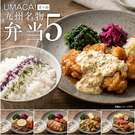 【お盆セール10倍】冷凍弁当 5食 セット 弁当 簡単 レンチン 冷凍食品 冷凍惣菜 惣菜 ごはん付き ご飯付き セット おいしい 冷凍お弁当通販 冷凍食品ワンプレート レンジ 温めるだけ 肉 魚 ご当地グルメ 美味しい 冷凍弁当 一人暮らし 仕送り食品 学生