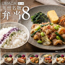 【お盆セール10倍】冷凍弁当 8食 セット 弁当 簡単 レンチン 冷凍食品 冷凍惣菜 惣菜 ごはん付き ご飯付き セット おいしい 冷凍お弁当通販 冷凍食品ワンプレート レンジ 温めるだけ 肉 魚 ご当地グルメ 美味しい 冷凍弁当 一人暮らし 仕送り食品 学生