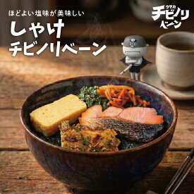 【お盆セール10倍】ちいさな海苔弁 しゃけ チビノリベーン 冷凍食品 冷凍惣菜 惣菜 九州 ご当地 美味しい グルメ 和食 温めるだけ 海苔弁 簡単 レンチン 冷凍海苔弁 時短 保存 UMACA チビノリベーン