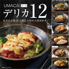 【お盆セール10倍】冷凍惣菜 デリカ 12食 セット 冷凍食品 おかず レンジ 温めるだけ お取り寄せ 冷凍おかず詰め合わせ ご当地グルメ 冷凍グルメ 総菜 惣菜 詰め合わせ 和風おかず 九州グルメ お惣菜セット ギフト 一人暮らし 簡単 時短 レンチン