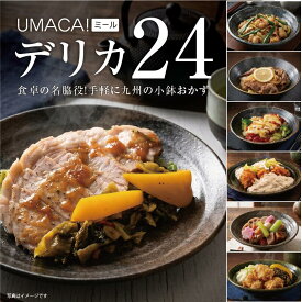 【ポイント20倍】 冷凍惣菜 デリカ 24食 セット 冷凍食品 おかず 惣菜 九州 ご当地グルメ お取り寄せ お惣菜セット ギフト 冷凍お惣菜 冷凍惣菜セット 冷凍おかず 温めるだけ レンジでチンするだけ 食品 一人暮らし 簡単 レンチン 美味しい 時短 レンチン惣菜 冷凍