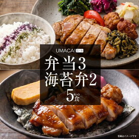 【お盆セール10倍】冷凍弁当 〈弁当3食・海苔弁2食〉 5食セット 弁当 簡単 レンチン 冷凍食品 冷凍惣菜 惣菜 九州 ご当地 美味しい グルメ 冷凍おかず通販 高齢者 和食 温めるだけ 和食おかず 美味しいおかず 冷凍弁当 おかず 時短 保存 冷凍海苔弁 海苔弁