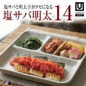 【お盆セール10倍】福岡 ご当地 おかず 塩サバ明太 14食セット 弁当 簡単 レンチン 冷凍食品 冷凍惣菜 惣菜 九州 ご当地 美味しい グルメ 冷凍おかず通販 高齢者 和食 温めるだけ 和食おかず 美味しいおかず 冷凍弁当 おかず 時短 保存 冷凍惣菜国産 簡単おかず 冷凍お惣菜