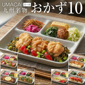 【お盆セール10倍】冷凍惣菜 おかず 10食 セット 弁当 簡単 レンチン 冷凍食品 冷凍弁当 惣菜 九州 ご当地 美味しい グルメ 冷凍おかず通販 高齢者 和食 温めるだけ 和食おかず 美味しいおかず 冷凍弁当 おかず 時短 保存 冷凍惣菜国産 簡単おかず 冷凍お惣菜 お弁当